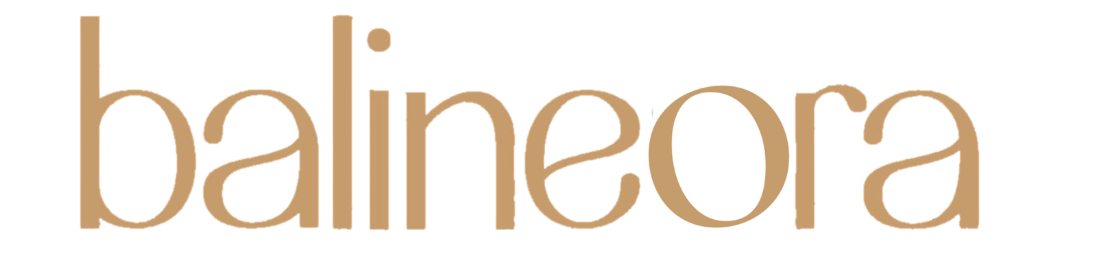 balineora logo words linkedin cover (1)